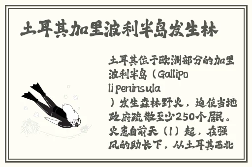 今日吃瓜61cg热门活动